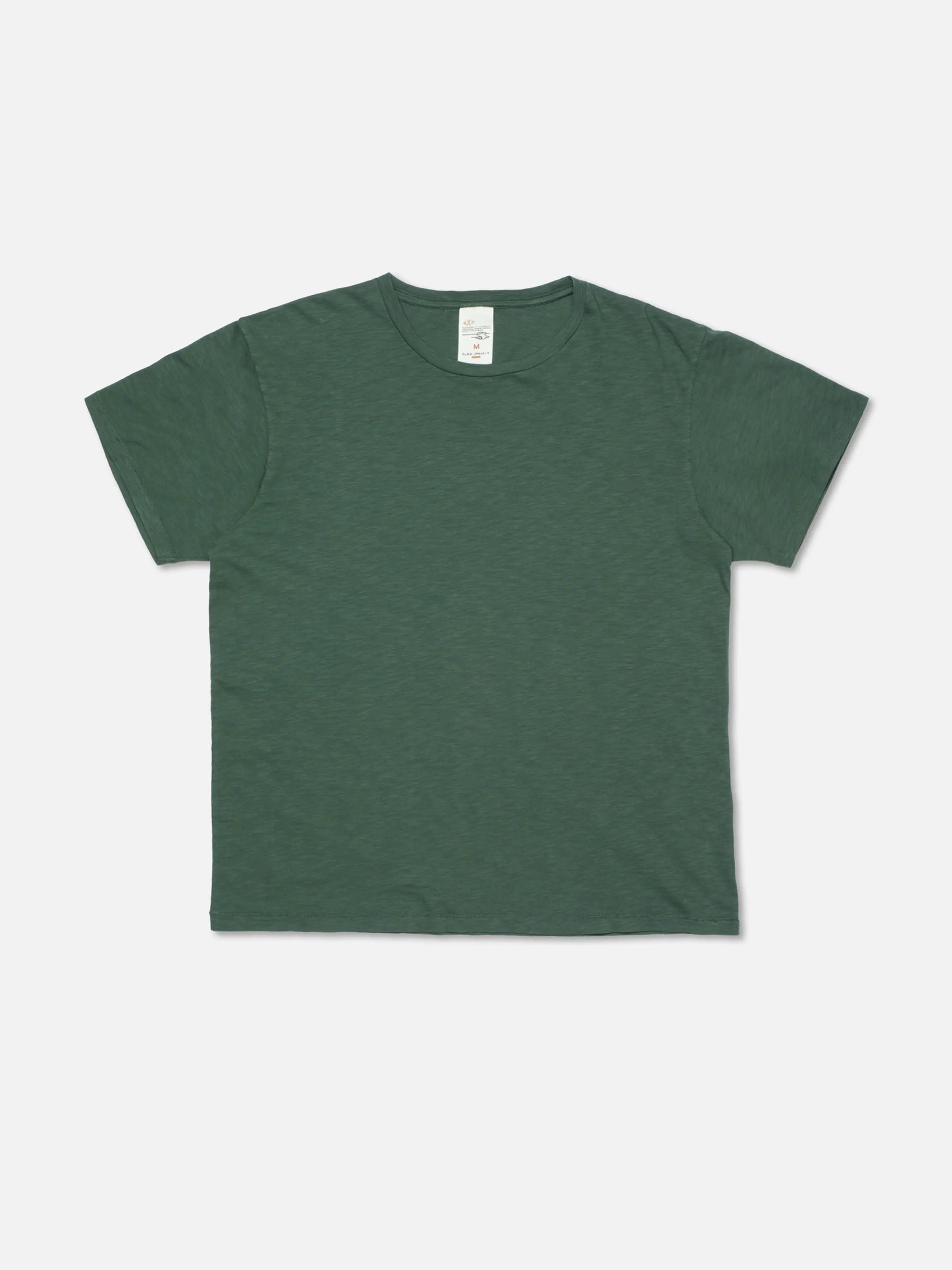 Roffe T-Shirt dark green Nudie Jeans